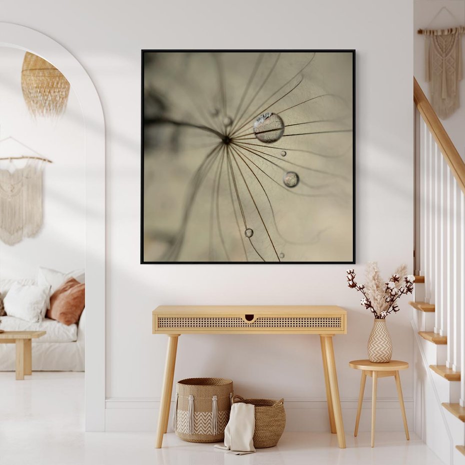 Obraz w ramie 50x50 - Delikatność dmuchawców - dmuchawce, krople - rama czarna