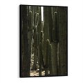 Obraz w ramie 70x100 - Wyjątkowy Klimat Boho - kaktusy, pustynia - rama czarna