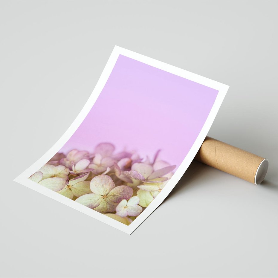 Plakat bez ramy 30x40 - Kwiatowa Uroda - kwiaty, hortensje