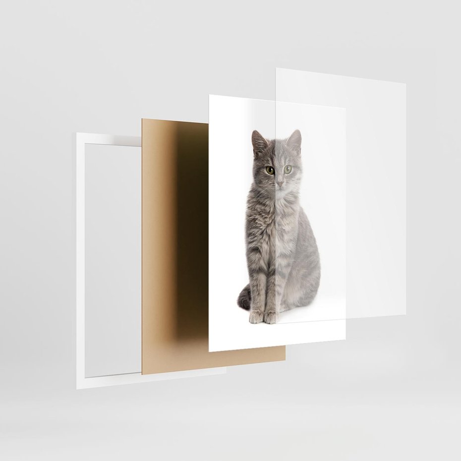 Plakat w ramie 30x40 - Kocie uroki na płótnie - kot, kotek - rama biała