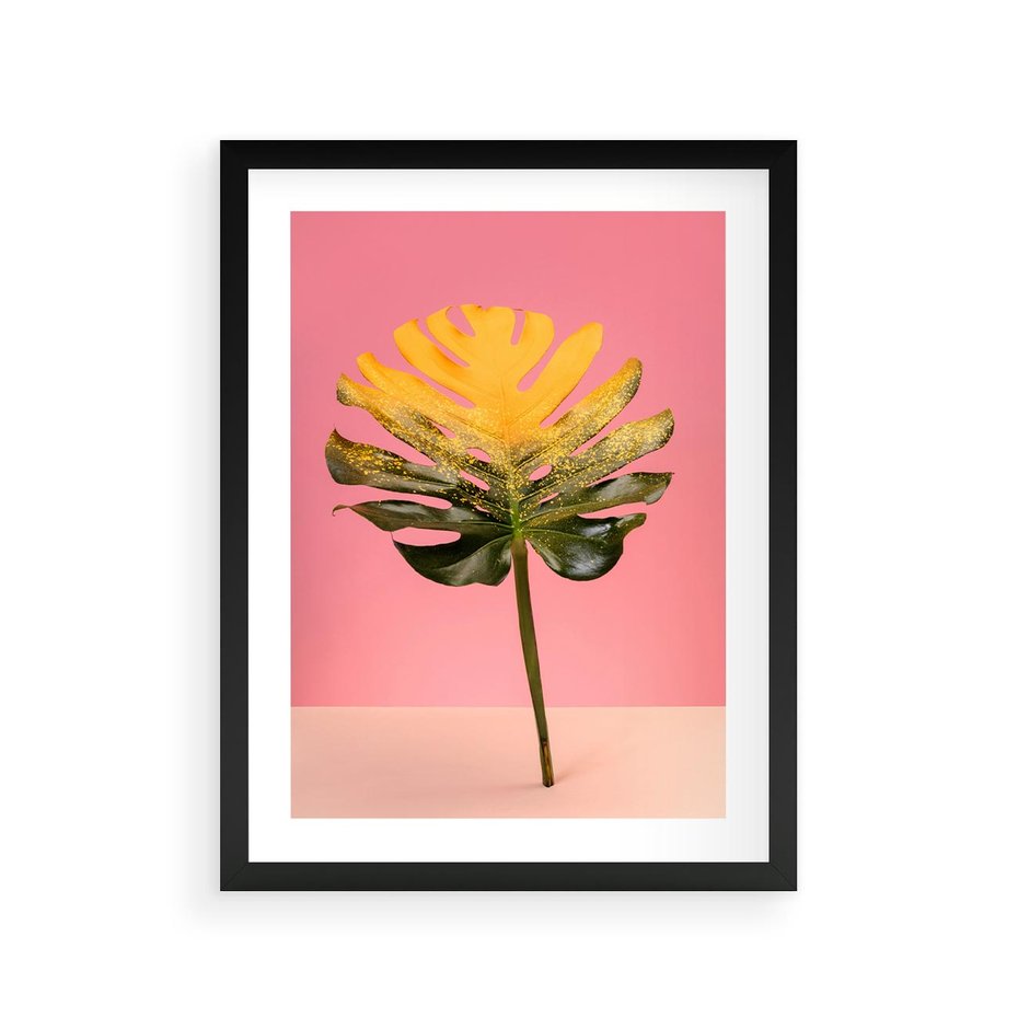 Plakat w ramie 30x40 - Majestatyczna monstera - monstera, liść - rama czarna