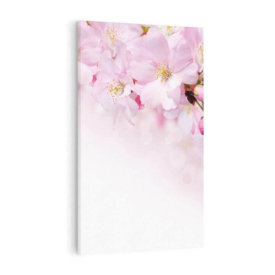 Obraz na płótnie 70x100 - Kwitnąca Wiśnia - kwiaty, kwitnącej