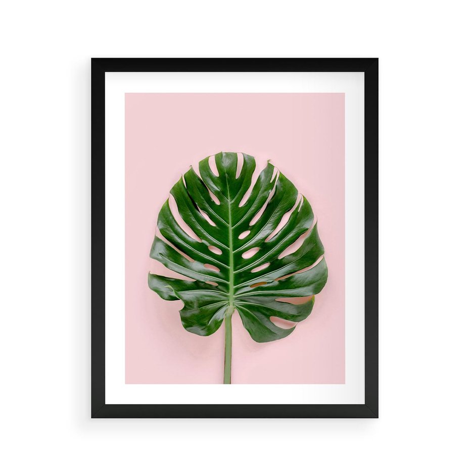 Plakat w ramie 40x50 - Monstera w Różowym Świetle - liść monstery, różowe tło - rama czarna