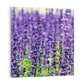 Obraz na płótnie 50x50 - Lawendowa Mgła - lawenda, kwiat