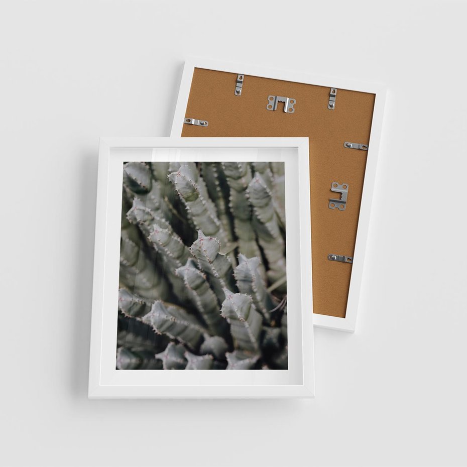 Plakat w ramie 40x50 - Oaza Natury - sukulenty, kaktusy - rama biała