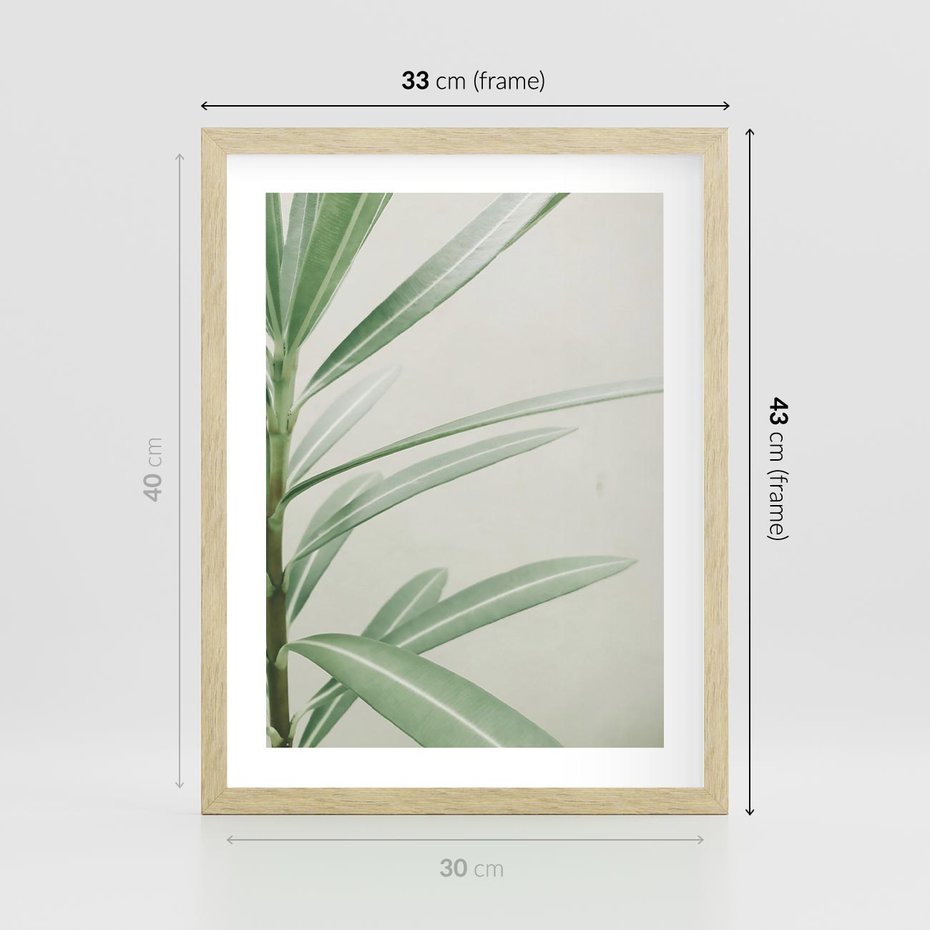 Plakat w ramie 30x40 - Minimalistyczna Tropikalna Harmonia - tropikalna roślina, zielone liście - rama drewno