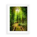 Plakat w ramie 50x70 - Współistnienie z naturą - drzewa, las - rama biała