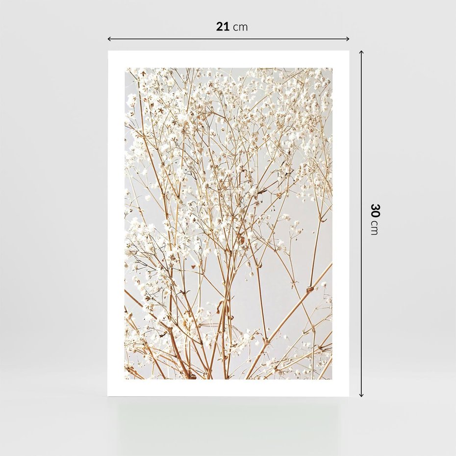 Plakat bez ramy 21x30 - Minimalistyczna Delikatność - białe kwiaty, gipsówka