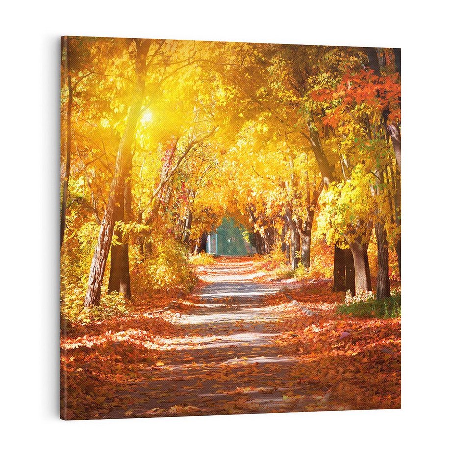 Obraz na płótnie 70x70 - Jesienna Droga: Przechadzka wśród Drzew - jesień, droga