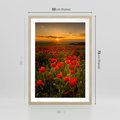 Plakat w ramie 50x70 - Maki przy zachodzie słońca - maki, zachód - rama drewno