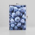 Obraz na płótnie 80x120 - Borówki Leśna Harmonia - borówki, owoce