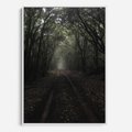 Obraz w ramie 50x70 - Urok Drogi - las, droga - rama biała