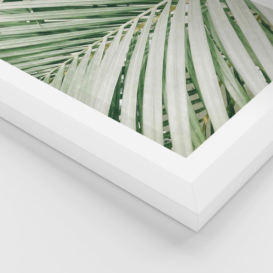 Plakat w ramie 40x50 - Liście Palmy: Egzotyczna Grafika - palma, liście palmy - rama biała