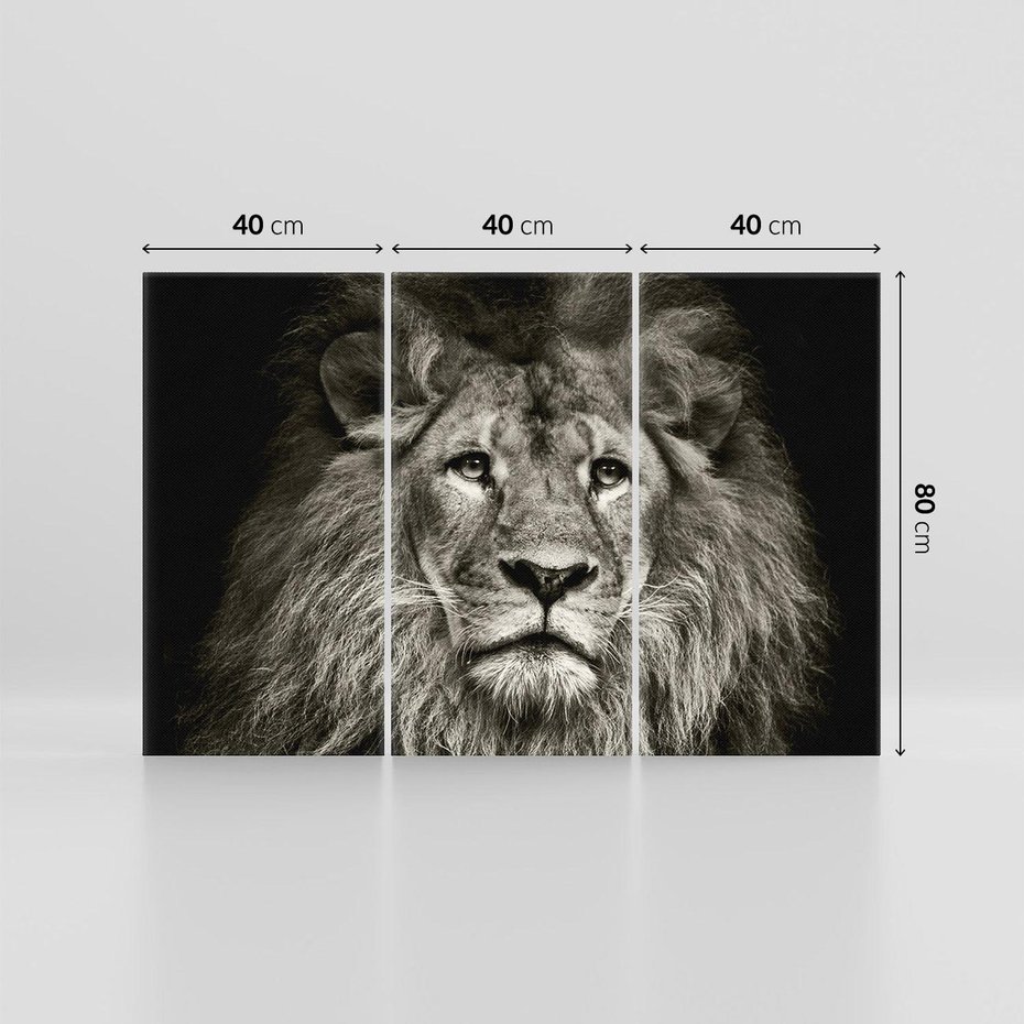 Obraz na płótnie 120x80 - Moc lewego spojrzenia - lew, czarno