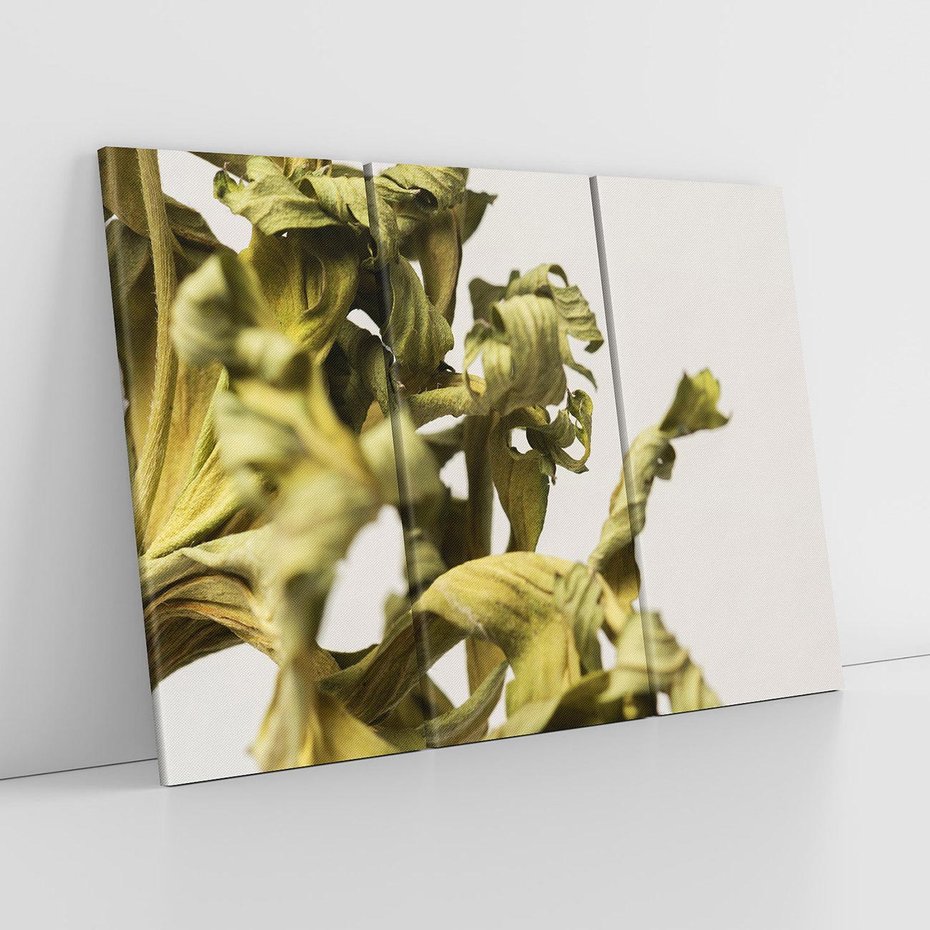 Obraz na płótnie 120x80 - Odejście pory deszczowej - suche, trawy