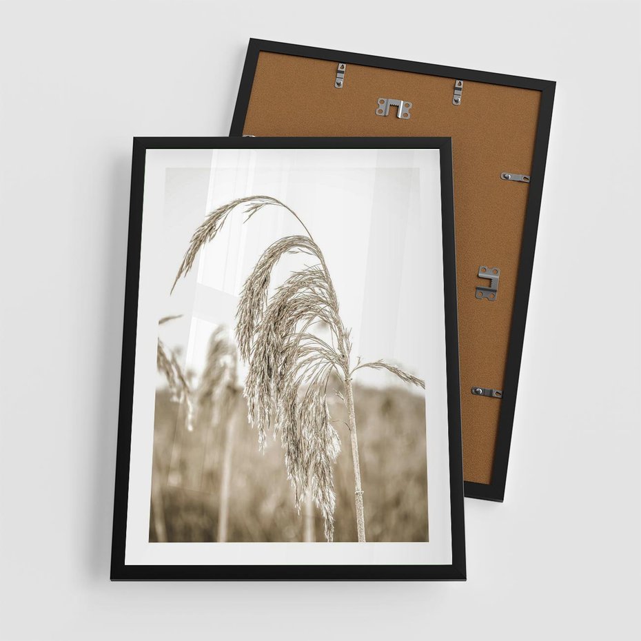 Plakat w ramie 50x70 - Ujęcie Suchych Traw - suche trawy, zbliżenie - rama czarna