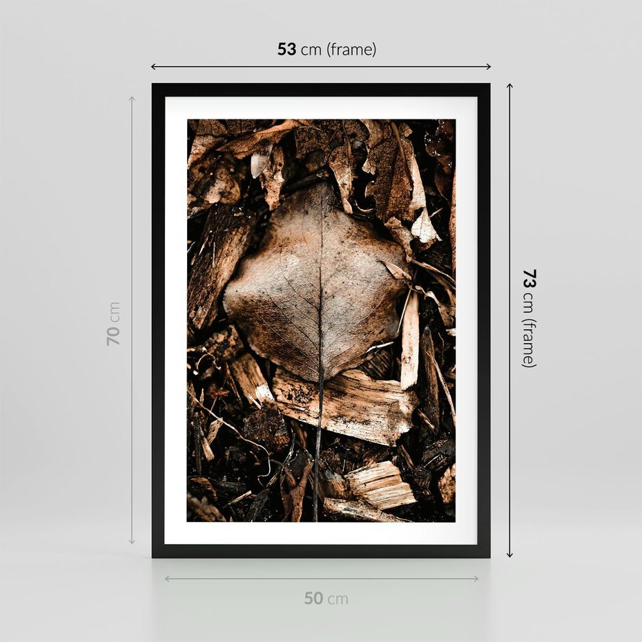 Plakat w ramie 50x70 - Samotny Liść - liść, brąz - rama czarna