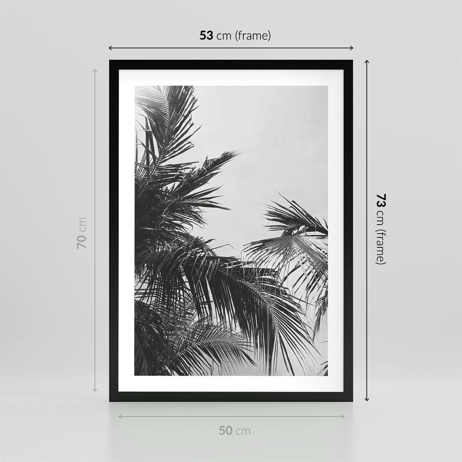 Plakat w ramie 50x70 - Palmy w Monochromii - palmy, tropikalne palmy - rama czarna