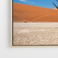 Obraz w ramie 50x50 - Słońce i Suche Drzewo - pustynia, suche - rama drewno