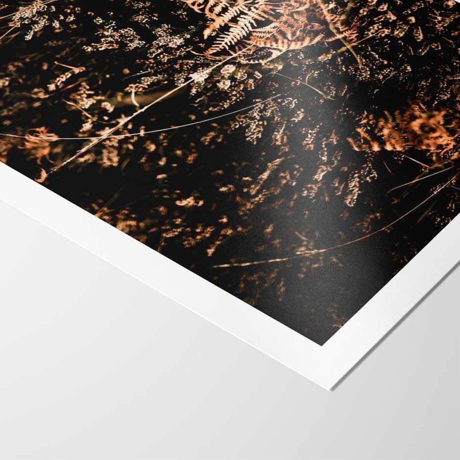 Plakat bez ramy 21x30 - Jesienna Melodia - suche trawy, paprocie