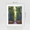 Plakat w ramie 40x50 - Urokliwa dróżka w lesie - las, dróżka - rama biała