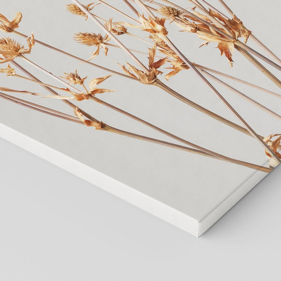 Obraz na płótnie 80x120 - Delikatne gipsówki - gipsówka, suche