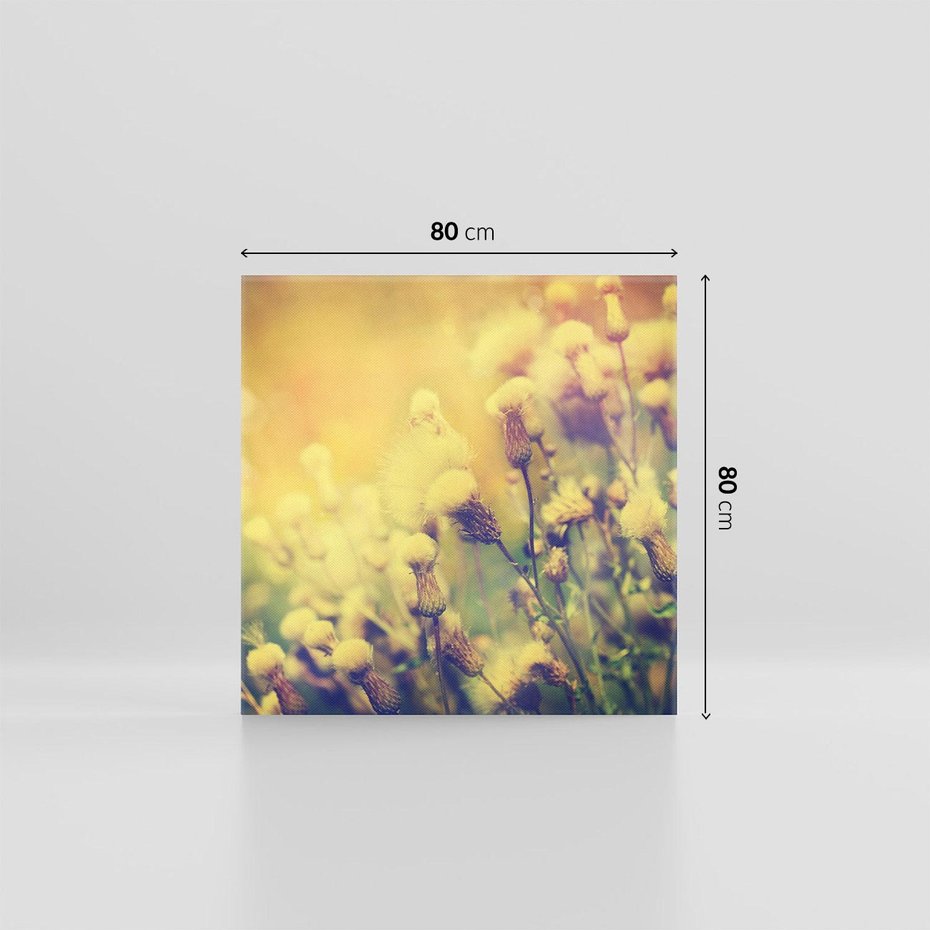 Obraz na płótnie 80x80 - Natura w pełnym rozkwicie - łąka, natura