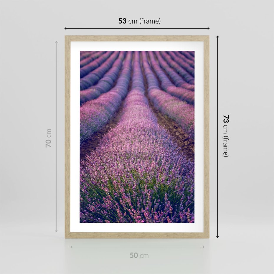 Plakat w ramie 50x70 - Pole Lawendy w Pełnej Krasie - pole lawendy, kompozycja - rama drewno