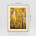 Plakat w ramie 40x50 - Jesienny Las - Kolorowa Paleta Natury - jesień, drzewa - rama drewno