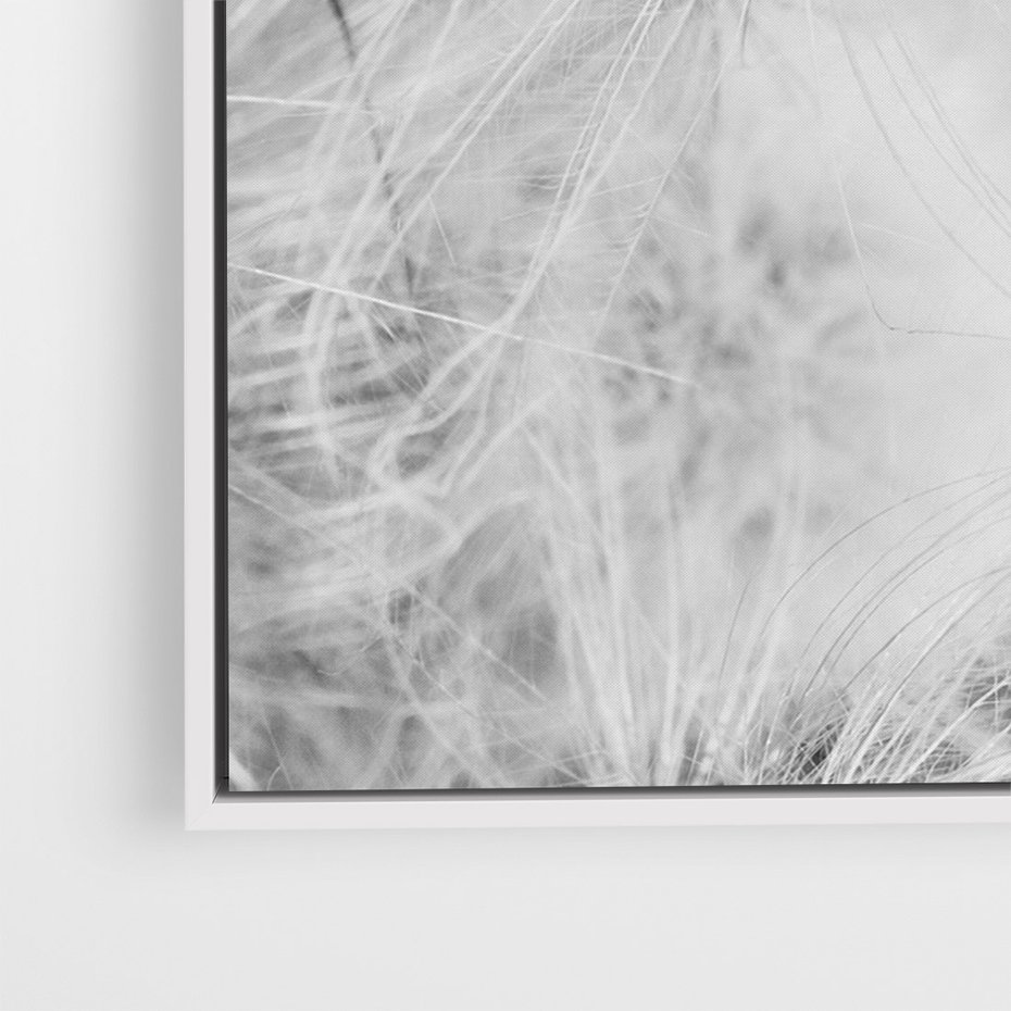 Obraz w ramie 80x120 - Zdmuchnięty Puch - dmuchawce, delikatne - rama biała