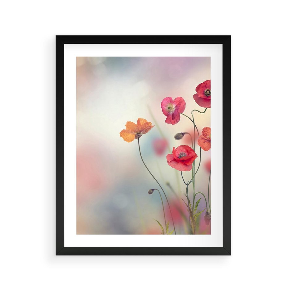 Plakat w ramie 40x50 - Urok natury - kwiaty, akwarela - rama czarna