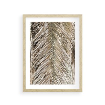 Plakat w ramie 40x50 - Boho Urok Palmy: Zbliżenie Natury - sucha palma, zbliżenie - rama drewno