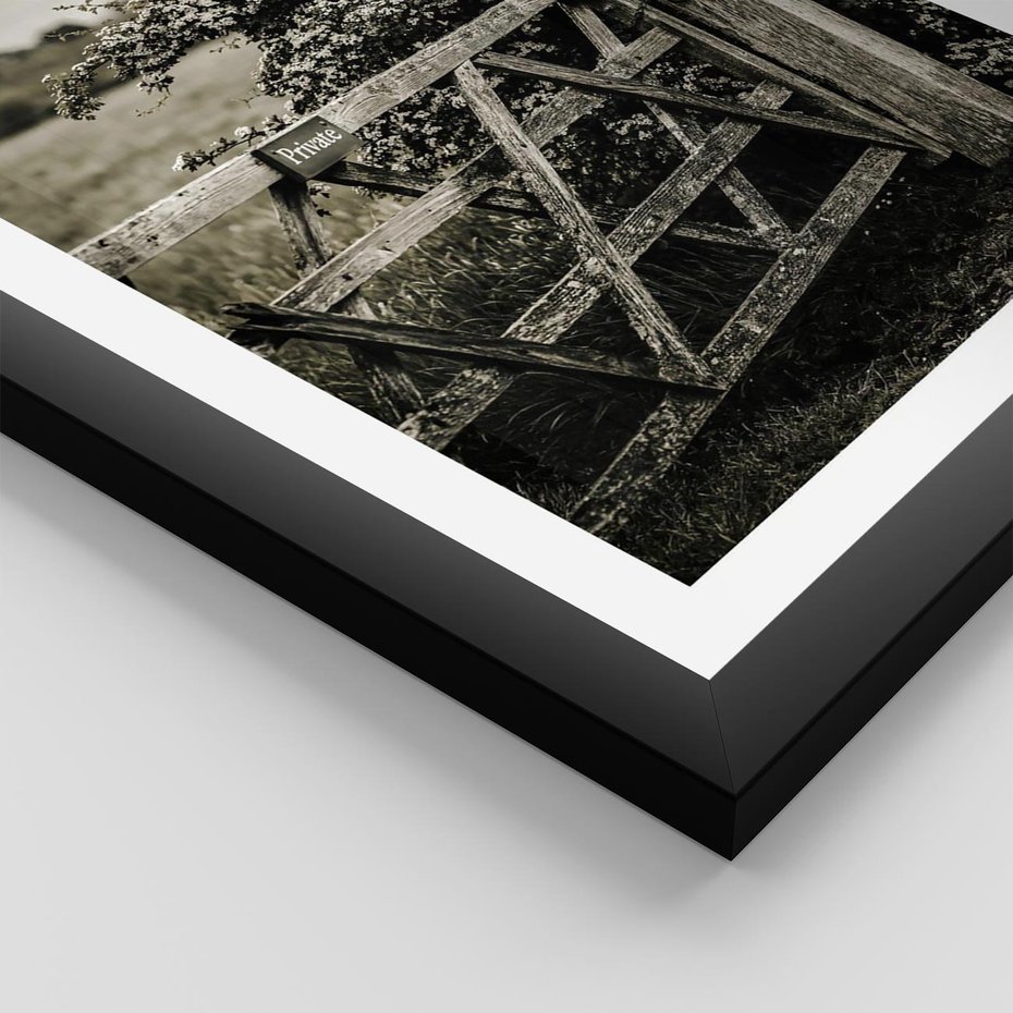 Plakat w ramie 50x70 - Wiejski Urok: Stary Płot i Kwitnący Krzew - rustykalne zdjęcie, stary płot - rama czarna