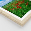 Plakat w ramie 30x40 - Kolorowa łąka pełna maku - łąka, maki - rama drewno