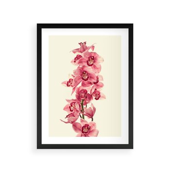 Plakat w ramie 30x40 - Orchidea w spa - relaks - orchidea, spa - rama czarna