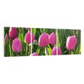 Obraz na płótnie 90x30 - Tulipanowa harmonia - tulipany, kwiaty