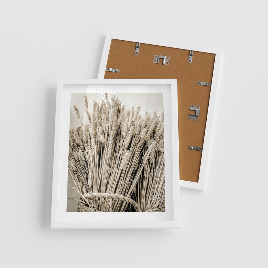 Plakat w ramie 40x50 - Letni Plon - zboże, kłosy zboża - rama biała