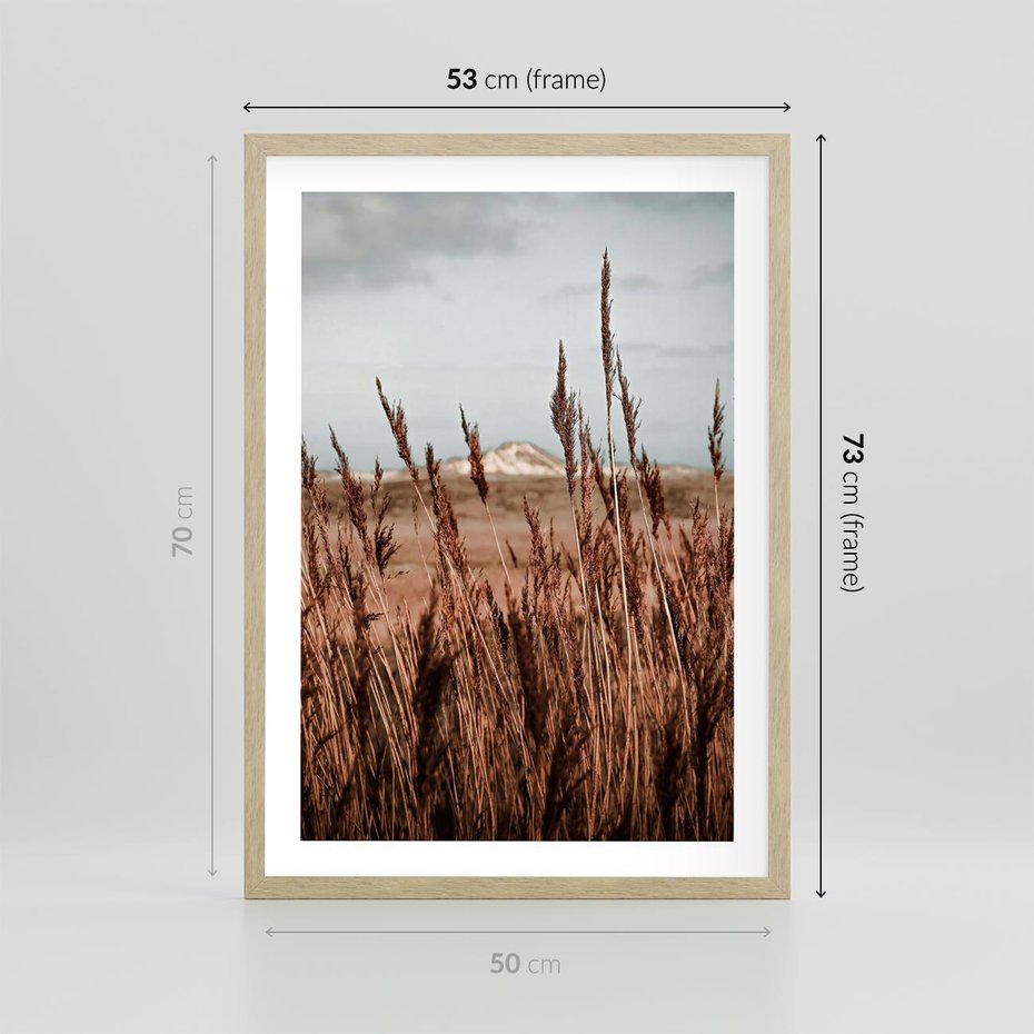 Plakat w ramie 50x70 - Wysokie Trawy w Górskim Krajobrazie - suche trawy, wysokie trawy - rama drewno