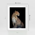 Plakat w ramie 40x50 - Elegancja Jaguarowej Pantery - jaguar, pantera - rama biała