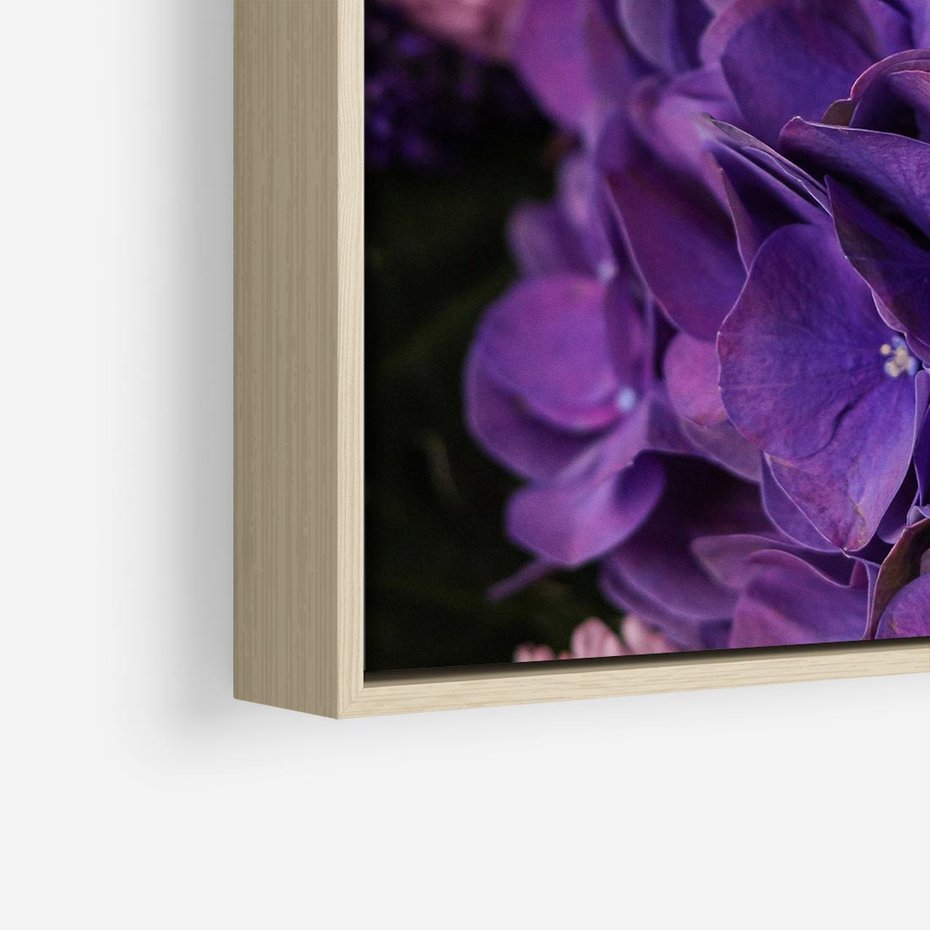 Obraz w ramie 80x80 - Fioletowa hortensja - kwiaty, hortensja - rama drewno