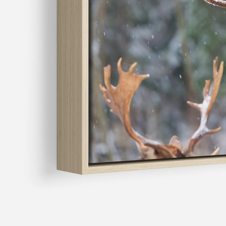 Obraz w ramie 70x50 - Monarcha Zimowej Dziczy - jeleń, zima - rama drewno
