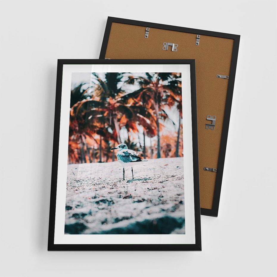 Plakat w ramie 50x70 - Tropikalna Uroda: Plaża z Mewą - tropikalna plaża, mewa na piasku - rama czarna