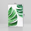 Obraz na płótnie 70x100 - Monstera - Liście Kwiaty - monstera, liście