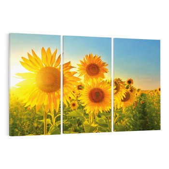 Obraz na płótnie 120x80 - kolorowe promienie - słoneczniki, kwiaty