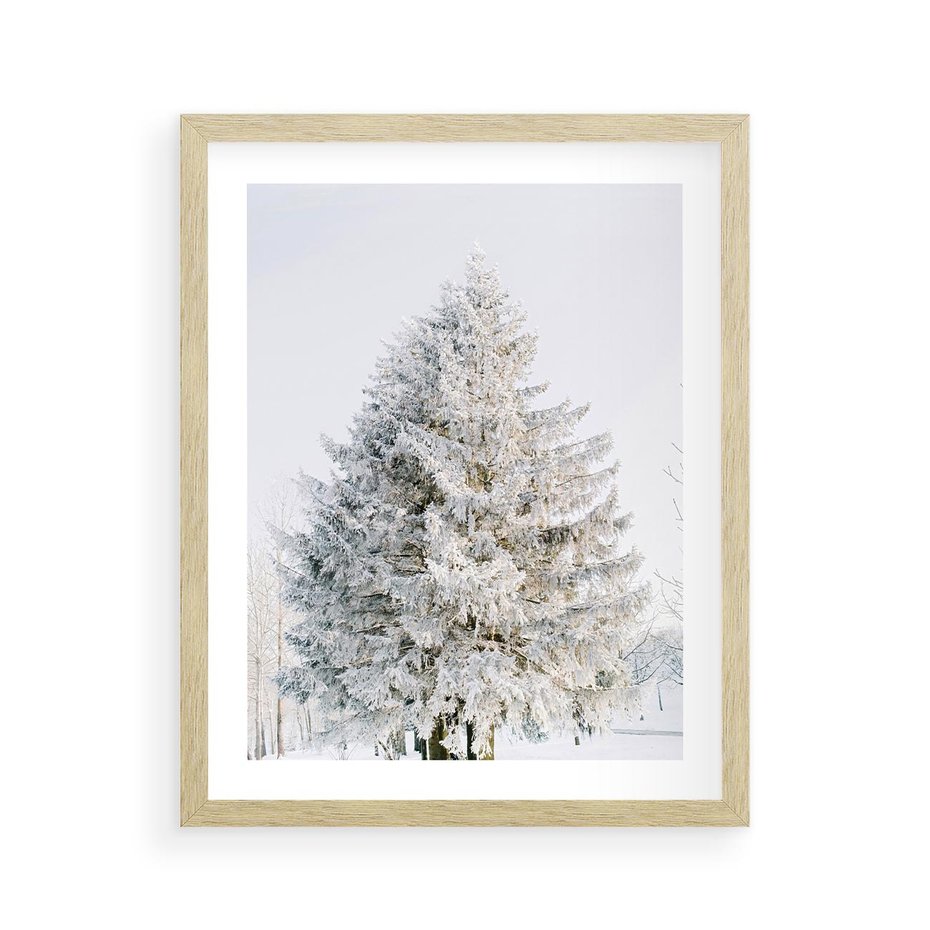 Plakat w ramie 40x50 - Zimowa Poezja w Ośnieżonym Drzewie - ośnieżone drzewo, zima - rama drewno