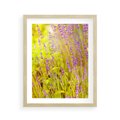 Plakat w ramie 40x50 - Delikatność natury - lawenda, kwiaty - rama drewno