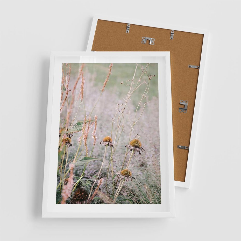 Plakat w ramie 50x70 - Przyroda w Pełnym Blasku: Kolorowa łąka z Kwiatami - łąka, kwiaty na łące - rama biała