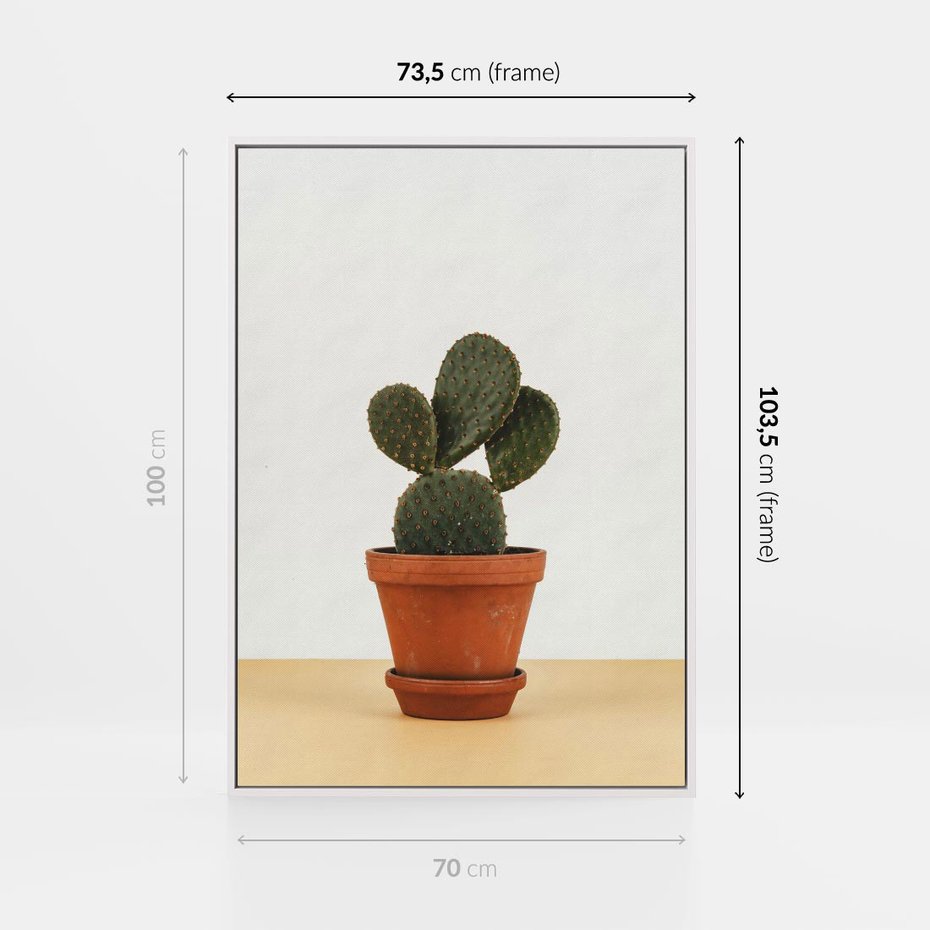 Obraz w ramie 70x100 - Kwiatowy taniec kaktusa - kaktus, kwiat - rama biała