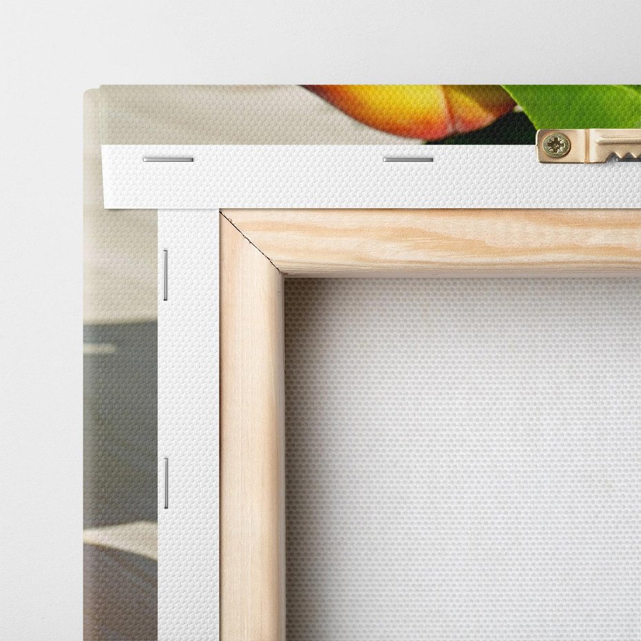 Obraz na płótnie 70x70 - Brzoskwinie Delikatny Urok - brzoskwinie, owoce