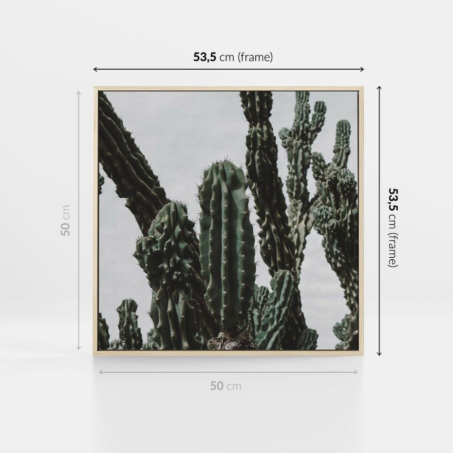 Obraz w ramie 50x50 - Boho oaza wśród kaktusów - kaktusy, pustynia - rama drewno